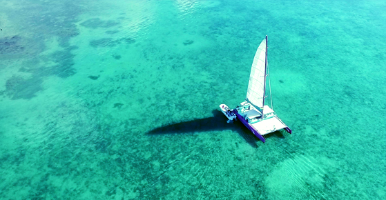 Croisiere en Catamaran Harris Wilson - Cote Sud-Est Croisiere en Catamaran Harris Wilson - Cote Sud-Est